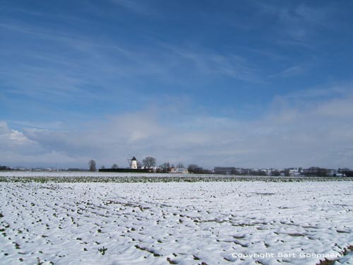 Hoogkoutermill HOREBEKE picture 