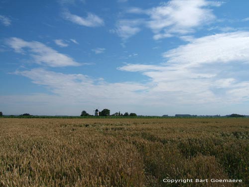 Hoogkoutermolen HOREBEKE foto 