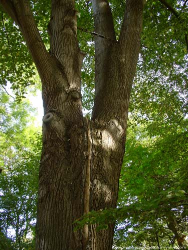 Domain provencial Puyenbroek WACHTEBEKE photo 