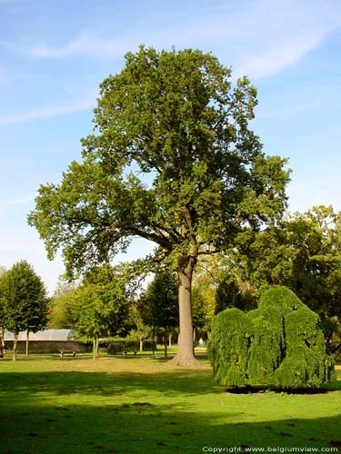 Provincial domain Puyenbroek WACHTEBEKE picture 