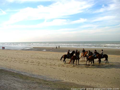 Strand en zee DE PANNE / BELGI Eén van de attracties zijn ruiters.