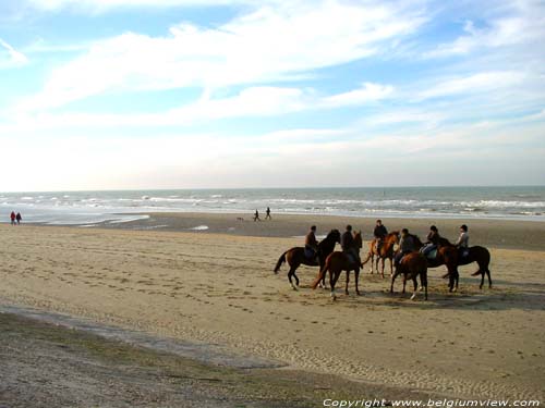 Strand and Sea DE PANNE / BELGIUM 