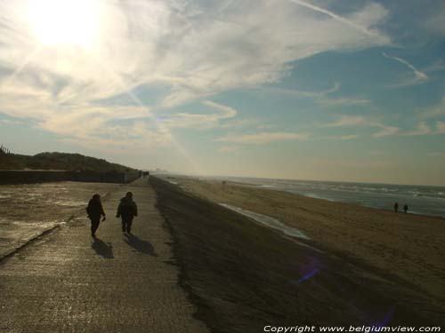 Strand en zee DE PANNE / BELGI Zicht zuid-westwaards richting Frankrijk.
