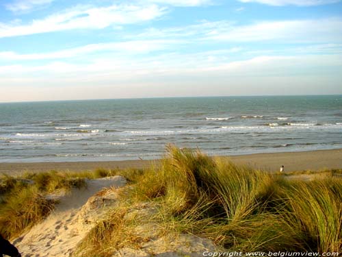 Strand en zee DE PANNE / BELGI Uitzicht vanop de duinen.