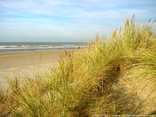 Strand en zee DE PANNE / BELGI 