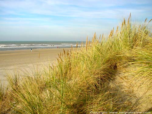 Strand and Sea DE PANNE / BELGIUM 