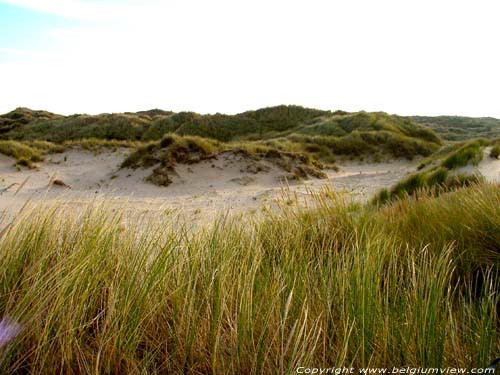 Natural park The West Corner DE PANNE / BELGIUM 