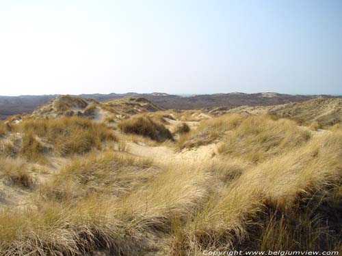 Natural park The West Corner DE PANNE picture 