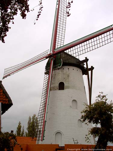 Moulin Rysselende PITTEM / BELGIQUE 