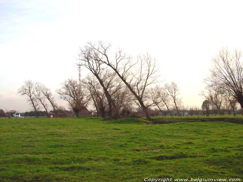 Arbres et Crique OUDENBURG photo 