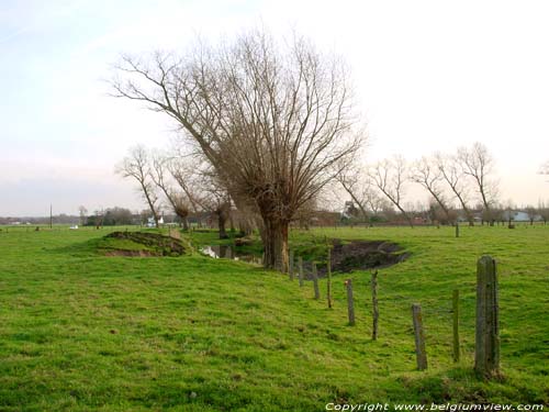 Bomen en kreek OUDENBURG / BELGI 