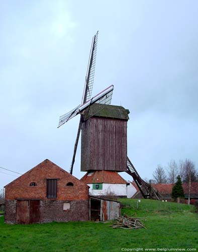 Pietendriesmolen KNESSELARE / BELGI 