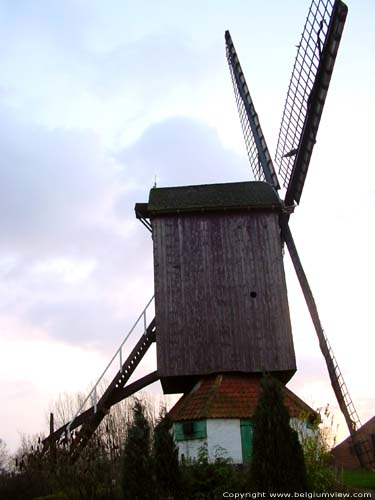 Pietendriesmolen KNESSELARE foto 