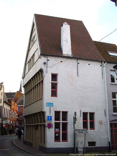 In the Fig Tree MECHELEN picture 