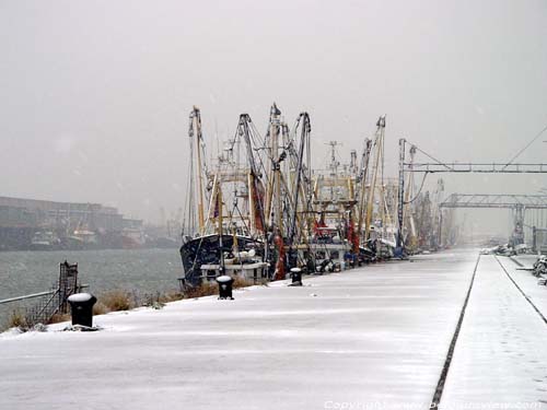 Vissershaven OOSTENDE foto 