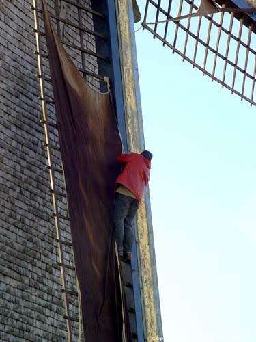 Moulin de Vallon ZINGEM / BELGIQUE 