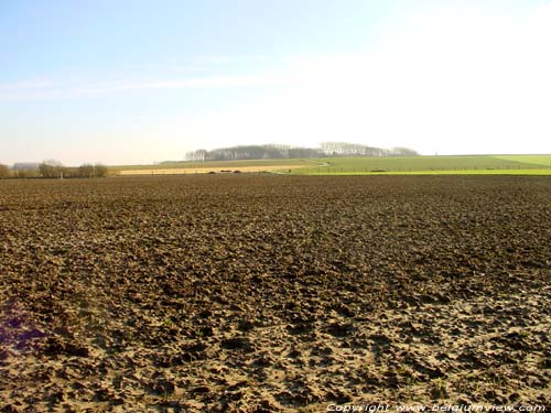 Landschap - Colpaert Kouters ZINGEM / BELGI 