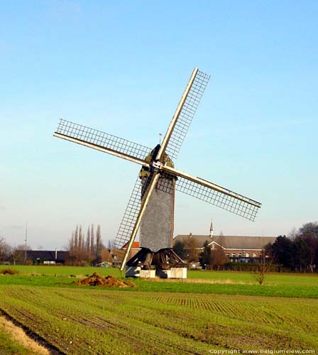 Huisekoutermolen (te Huise) ZINGEM foto 