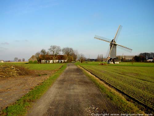 Huisekoutermolen (te Huise) ZINGEM foto 