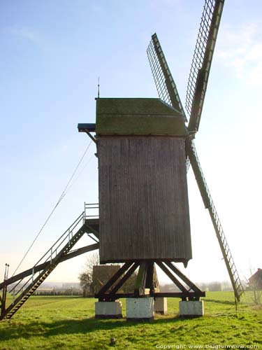 Huisekoutermolen (te Huise) ZINGEM foto 