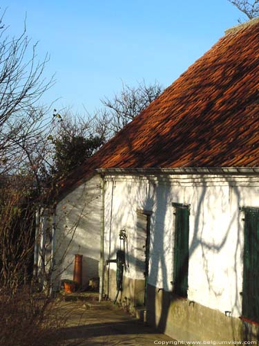 Huisekoutermolen (te Huise) ZINGEM foto 