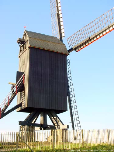 Houtavemill WANNEGEM-LEDE / KRUISHOUTEM picture 