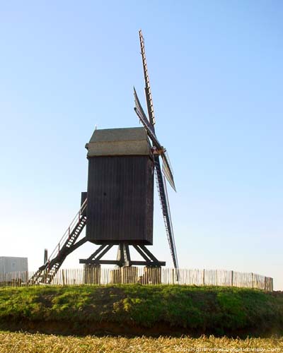 Schietsjampettermolen of Houtavemolen WANNEGEM-LEDE / KRUISHOUTEM foto 