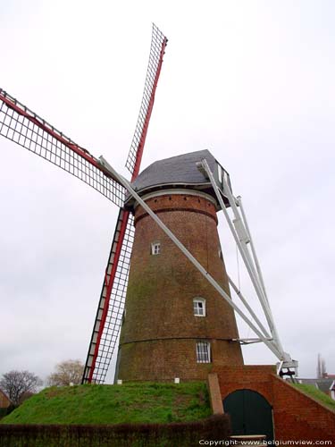 Molen Molenheide PULDERBOS in ZANDHOVEN / BELGI 