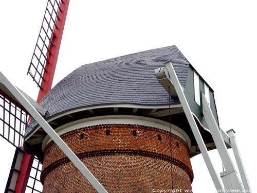 Molen Molenheide PULDERBOS in ZANDHOVEN / BELGI 