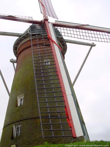 Moulin de la Bruyre PULDERBOS  ZANDHOVEN / BELGIQUE 