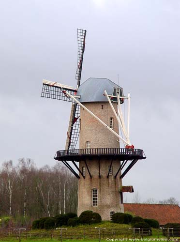 Zeldenrust molen ZANDHOVEN foto 