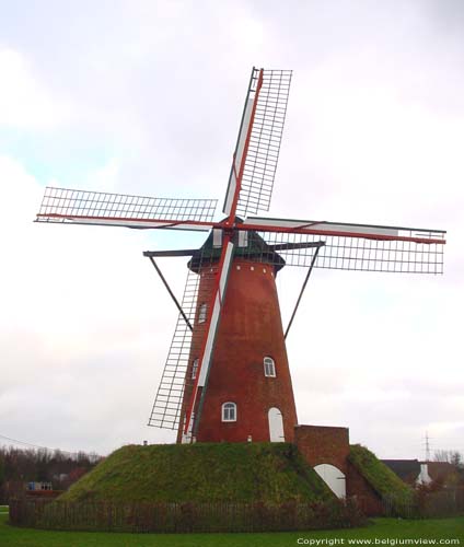 Old Windmill RANST picture 