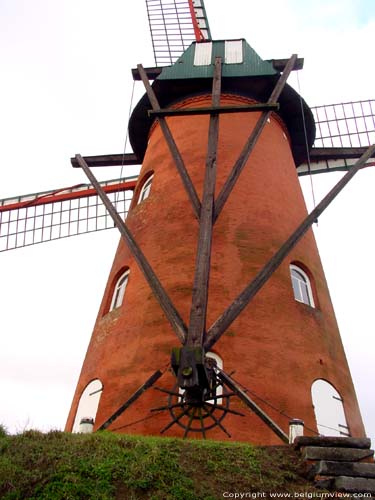 Old Windmill RANST picture 