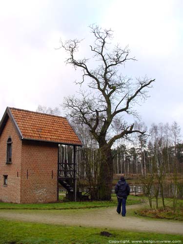 Chteau de Vriesel RANST / BELGIQUE 