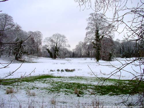 Winter in Lovenjoel BIERBEEK picture 