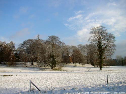 Winter in Lovenjoel BIERBEEK / BELGIUM 