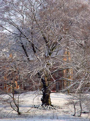 Hivers  Lovenjoel BIERBEEK / BELGIQUE 