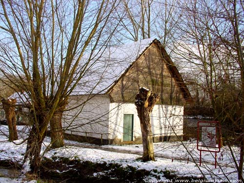Tommen Mill GRIMBERGEN / BELGIUM 