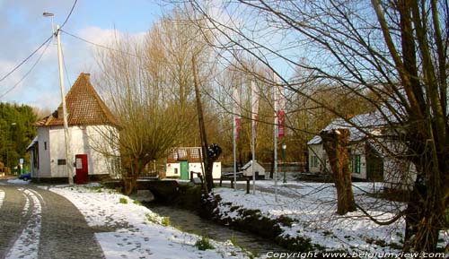 Tommenmolen GRIMBERGEN foto 