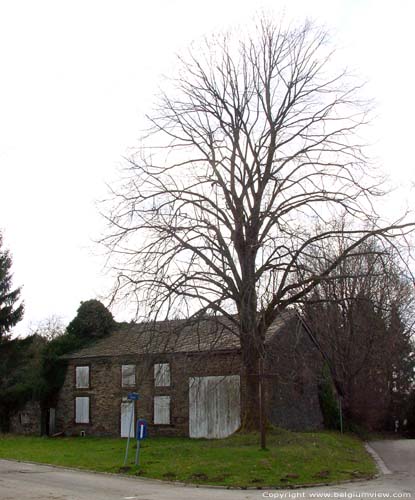 House with Cross (Vivy) UCIMONT in BOUILLON / BELGIUM 