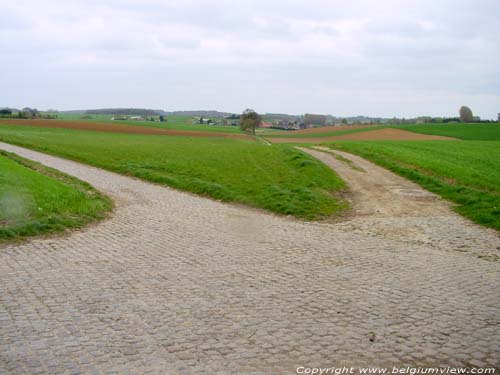 Uitzicht bij Schonenboom TERVUREN / BELGI 