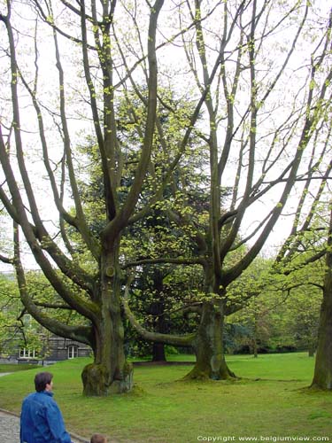 Park Koninklijk Paleis Laken LAKEN / BRUSSEL foto 