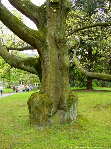 Park Koninklijk Paleis Laken LAKEN in BRUSSEL / BELGI 