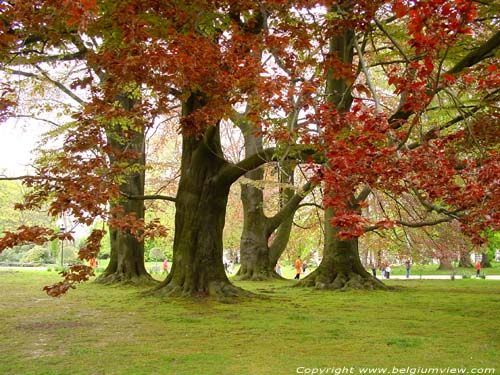 Royal Palace Garden Laken LAKEN in BRUSSEL / BELGIUM 