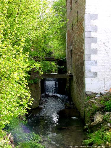 Voormalige Graanwatermolen WALSHOUTEM / LANDEN foto 