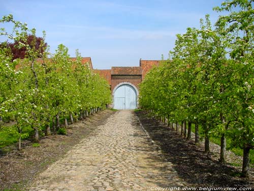 Chteau Blanc de Kerkom-chez-Saint-Trond SINT-TRUIDEN  SAINT-TROND / BELGIQUE 