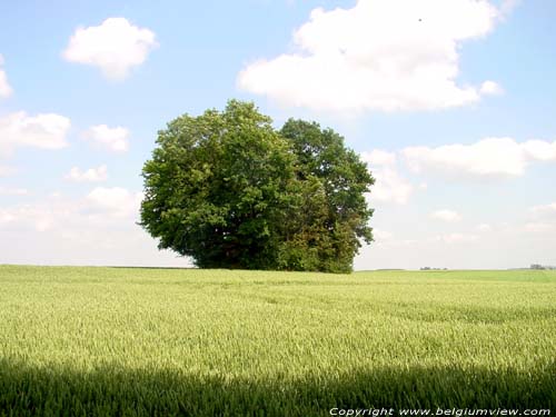 Tumulus 2 WALHAIN / BELGIUM 