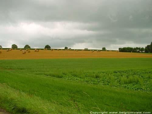 Landschap NAMUR  CINEY / BELGIQUE 