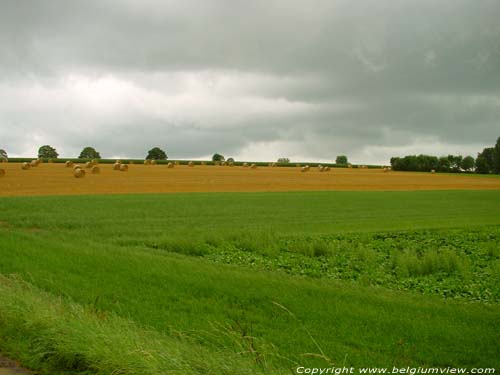 Landschap CINEY / BELGIUM 