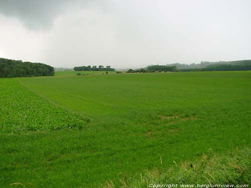 Landschap CINEY picture 